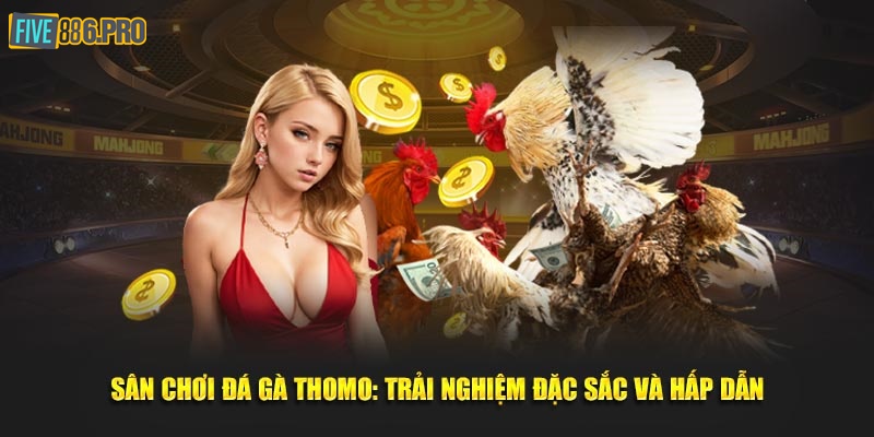 Sân Chơi Đá Gà Thomo FIVE88 - Mãn Nhãn Chọi Gà Kinh Điển