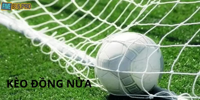 Kèo Đồng Nửa - Cách Tính Toán Và Những Lưu Ý Cần Thiết