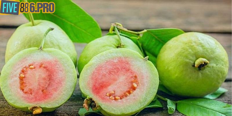 Mơ Thấy Quả Ổi Là Điềm Gì? FIVE88 Bật Mí Con Số May Mắn 9 Mơ Thấy Quả Ổi Là Điềm Gì? FIVE88 Bật Mí Con Số May Mắn