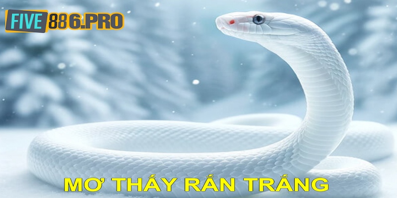 Mơ Thấy Rắn Trắng Đánh Số Mấy? Cẩm Nang Giải Mã Lô Đề